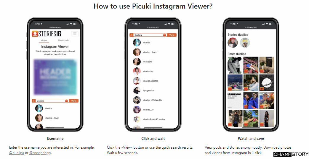 How to use Picuki Instagram Viewer