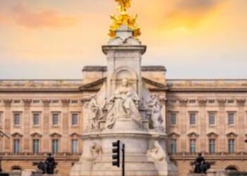 istockphoto-997616800-612x612