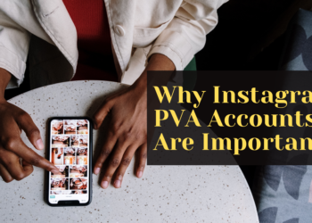 Why Instagram PVA Accounts Are Important