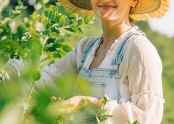 5 Simple Gardening Tips to Reduce Your Water usage