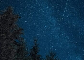 6 Meteor Showers You Can Plan to See in 2024