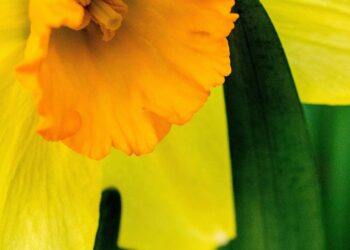 The Psychology of Bright Colours: How They Affect Your Mood and Energy