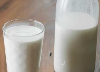 4 Best Vegan Milk for Weight Loss