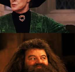 Harry Potter Stars who are Sadly No Longer with Us