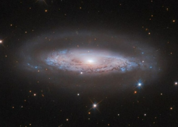 7 starry images of our cosmic neighbors shared by  …
                              
                              Published by Livemint | 13 Sep 2024