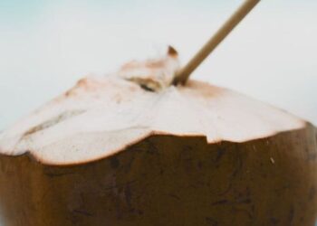 7 health benefits of drinking coconut water daily
                              
                              Published by Livemint | 25 Sep 2024