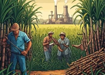 Brazil leads in sugar production—see which countries follow