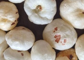 7 reasons you should include makhanas in your diet
                              
                              Published by Livemint | 12 Sep 2024