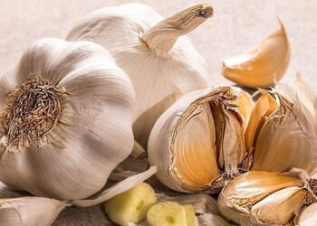 Why you should have garlic everyday: Top 5 benefit …
                              
                              Published by Livemint | 17 Sep 2024