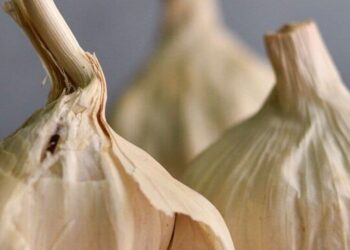 5 health benefits of eating garlic
                              
                              Published by Livemint | 28 Sep 2024