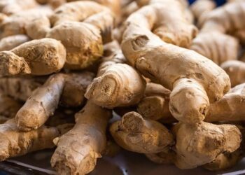 5 reasons why you should have ginger everyday
                              
                              Published by Livemint | 20 Sep 2024
