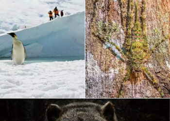 Winners Of The Post's 25th Annual Travel Photo Contest