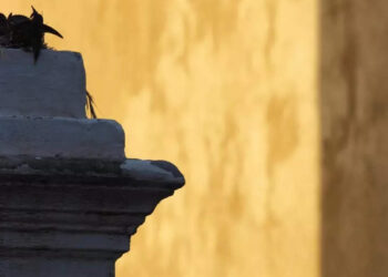 Friday the 13th: 10 Things Believed to be Unlucky If Done on This Day