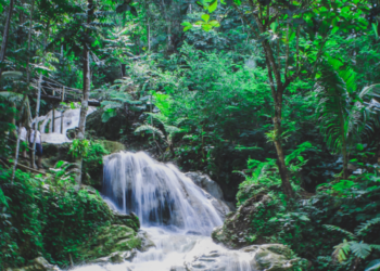 World Rivers Day: Exploring The World’s Most Famous Waterways