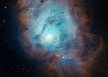 5 NASA images of nebulae that look like seafood
                              
                              Published by Livemint | 12 Sep 2024