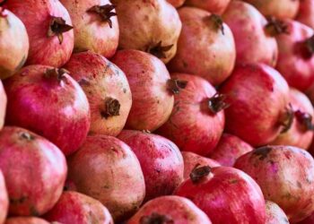 5 Reasons why pomegranate is good for you
                              
                              Published by Livemint | 14 Sep 2024