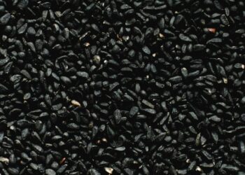 5 health benefits of kalonji/black cumin
                              
                              Published by Livemint | 21 Sep 2024