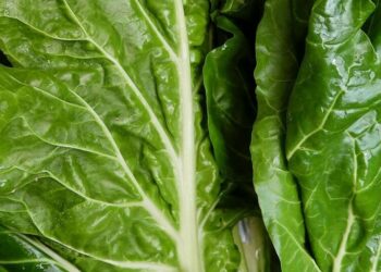 5 potassium-rich foods for vegetarians
                              
                              Published by Livemint | 23 Sep 2024