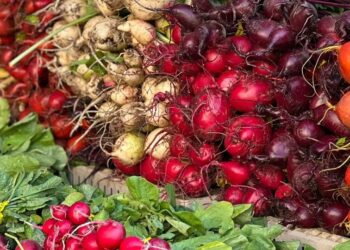 6 root vegetables and their amazing benefits
                              
                              Published by Livemint | 17 Sep 2024