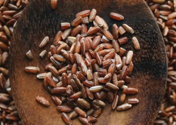 9 health benefits of brown rice
                              
                              Published by Livemint | 23 Sep 2024