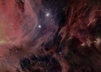 5 captivating NASA images of cosmic dust and gas
                              
                              Published by Livemint | 29 Sep 2024