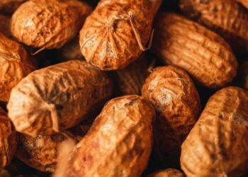 6 health benefits of eating peanuts as a snack
                              
                              Published by Livemint | 13 Sep 2024