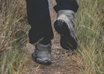 6 Reasons for you to walk daily
                              
                              Published by Livemint | 15 Sep 2024