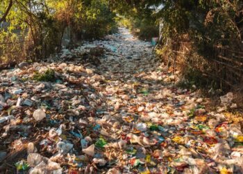 Top 10 plastic waste producing countries
                              
                              Published by Livemint | 10 Sep 2024