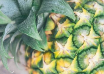 6 benefits of pineapple for skin and hair
                              
                              Published by Livemint | 12 Sep 2024