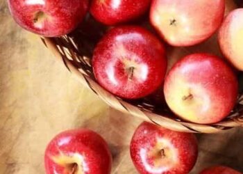 5 Tips for Keeping Your Apples Fresh
