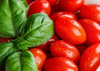 How to Store Tomatoes and Keep them Fresh for Longer