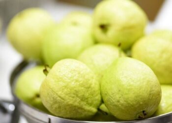5 ways guava supports wellness
                              
                              Published by Livemint | 30 Oct 2024