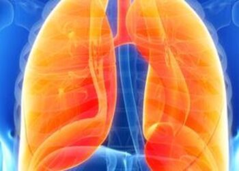 5 proven techniques to increase your lung capacity
                              
                              Published by Livemint | 29 Oct 2024