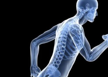 5 ways to maintain strong bones after 40
                              
                              Published by Livemint | 25 Oct 2024