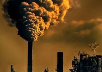 5 alarming ways air pollution affects your health
                              
                              Published by Livemint | 24 Oct 2024