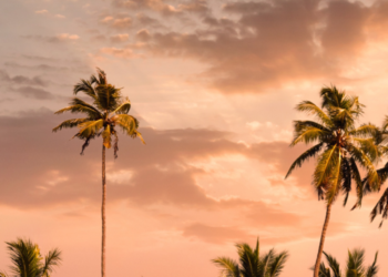 Planning A Trip To Kerala In Winter? 10 Places You Should Go To