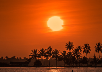 Headed To Kochi In December? 10 Places To Add To Your Itinerary