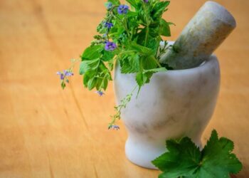 10 ancient herbs and their health powers
                              
                              Published by Livemint | 28 Oct 2024