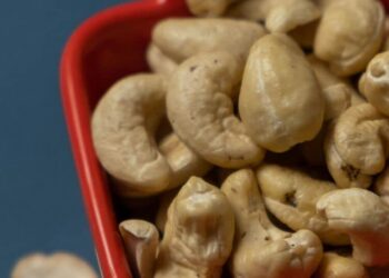 5 healthy reasons to eat cashews daily
                              
                              Published by Livemint | 02 Oct 2024