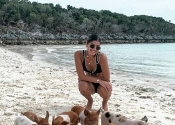 5 unique animals found only on isolated islands
                              
                              Published by Livemint | 25 Oct 2024