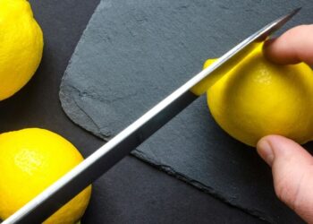 5 health benefits of lemon water
                              
                              Published by Livemint | 30 Oct 2024