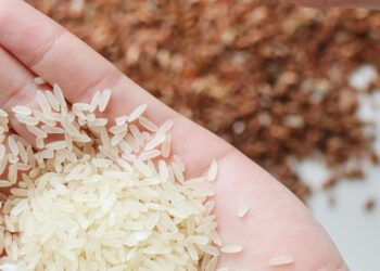 5 gluten-free grains to support your health
                              
                              Published by Livemint | 02 Oct 2024