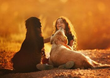 5 benefits of having a pet for your health
                              
                              Published by Livemint | 31 Oct 2024