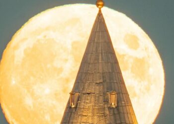 5 fascinating facts about supermoons and their eff …
                              
                              Published by Livemint | 24 Oct 2024