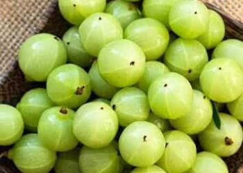 5 Winter Superfoods to Keep Your Immune System Strong