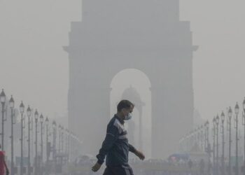 8 Super health tips to deal with severe pollution
                              
                              Published by Livemint | 19 Nov 2024