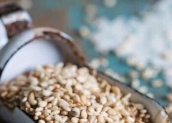 Sesame seeds: tiny seeds, big benefits
                              
                              Published by Livemint | 01 Nov 2024