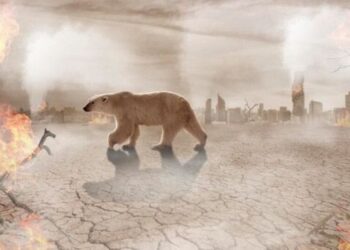 5 animals affected by climate change
                              
                              Published by Livemint | 12 Nov 2024