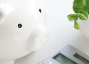 10 small saving schemes and their interest rates i …
                              
                              Published by Livemint | 11 Nov 2024