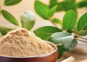 5 amazing health benefits of Ashwagandha
                              
                              Published by Livemint | 14 Nov 2024